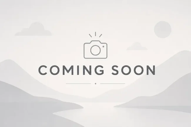 Coming soon placeholder