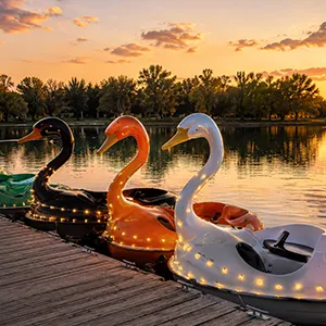 Swan paddle boats on a lake in Lafayette Colorado at golden hour