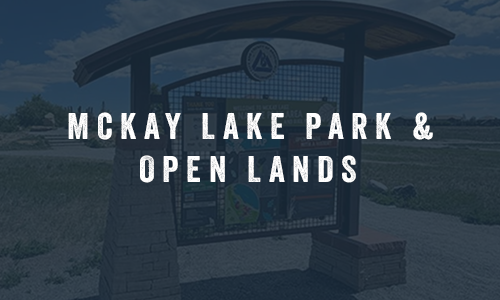 McKay Lake Park and Open Lands featured image