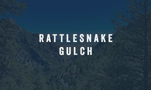 Rattlesnake Gulch featured image
