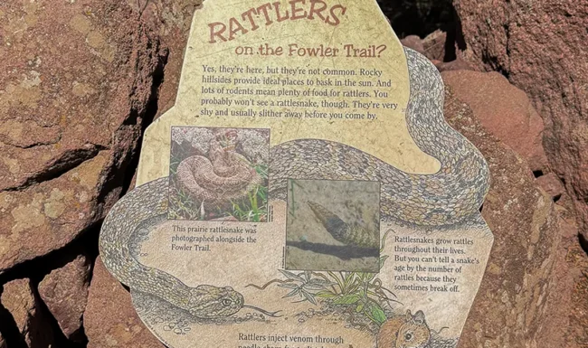 Eldorado Canyon State Park nature sign about rattlesnakes