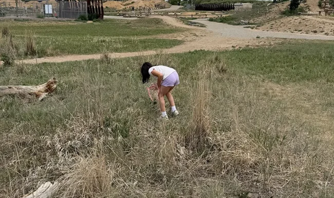 McKay Lake Park and Open Lands: Girl Catching bugs in open space