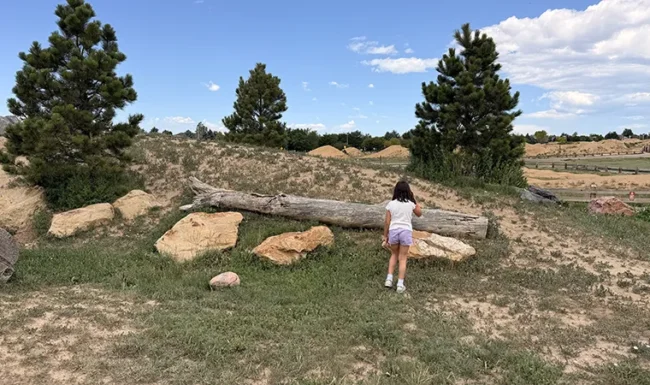 McKay Lake Park and Open Lands: prairie dog playground hill, rocks & logs