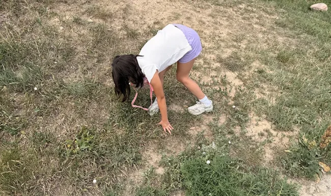 McKay Lake Park and Open Lands: Girl Catching bugs in open space