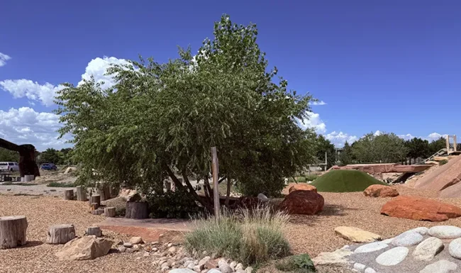 McKay Lake Park and Open Lands Natural playground shade tree