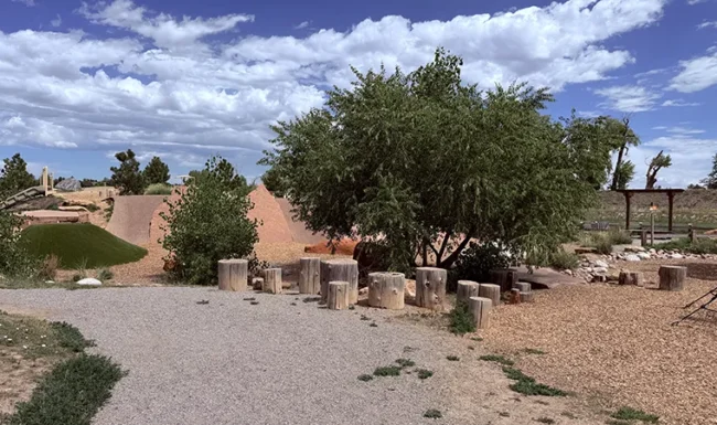 McKay Lake Park and Open Lands Natural playground shade tree