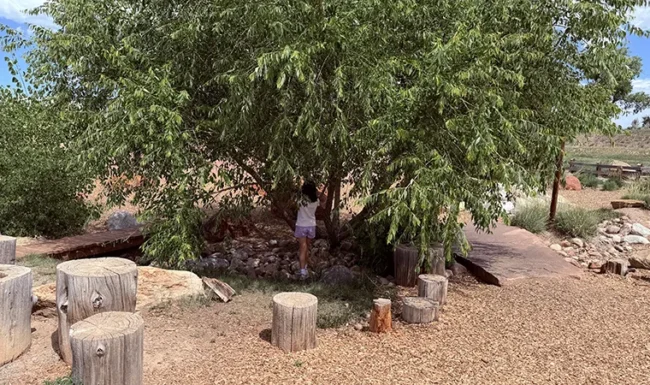 McKay Lake Park and Open Lands Natural playground shade tree