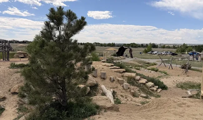 McKay Lake Park and Open Lands Natural playground climbing area