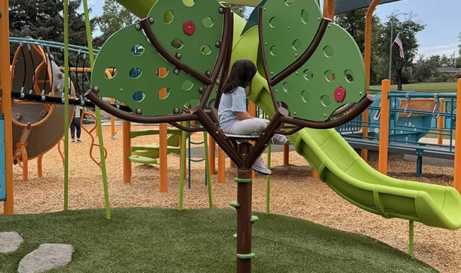 wheelchair-accessible merry-go-round