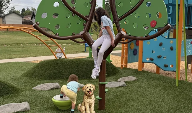Midway Park, Broomfield: sensory playground climbing structure