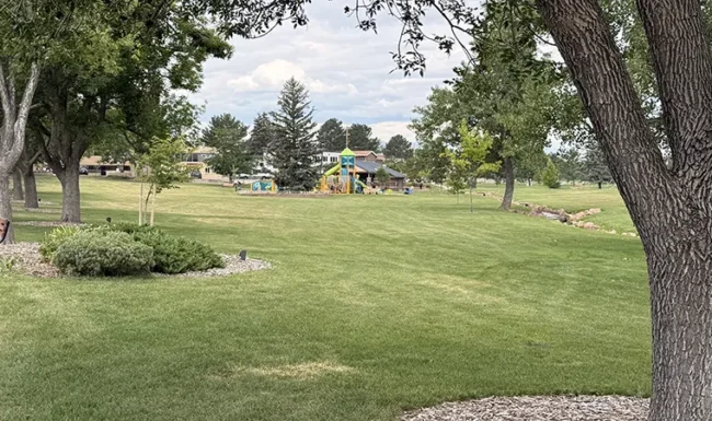 Midway Park North Broomfield: North open space