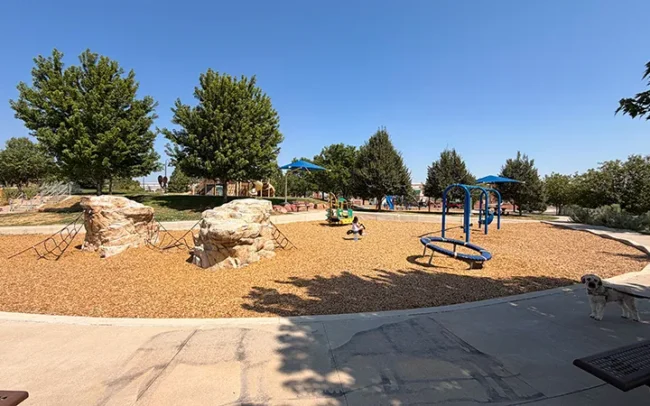 Climbing, Swinging & Spinning
