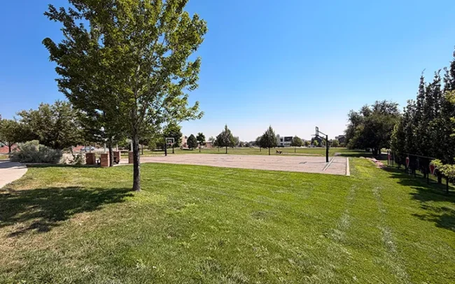 Basketball Courts