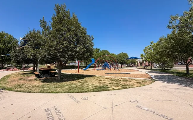 Slides & Climbing
