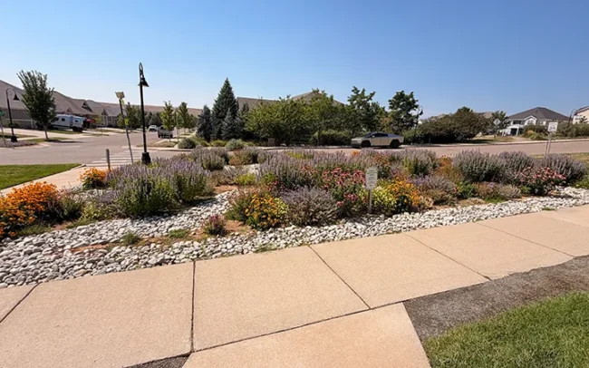 Pollinator Demonstration Garden