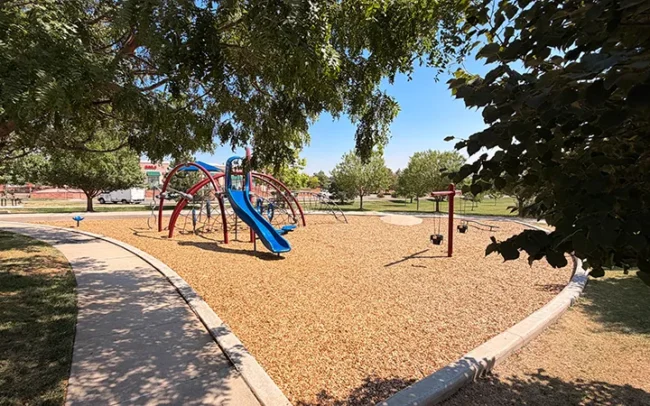 Slides & Climbing