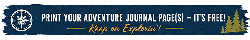Print journal pages banner