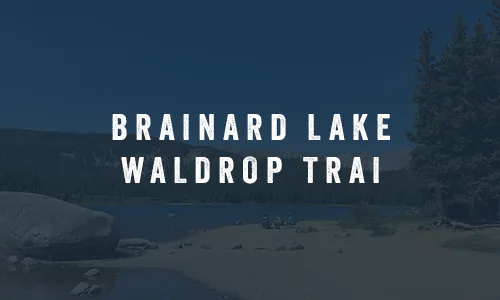 Featured image Waldrop Trail