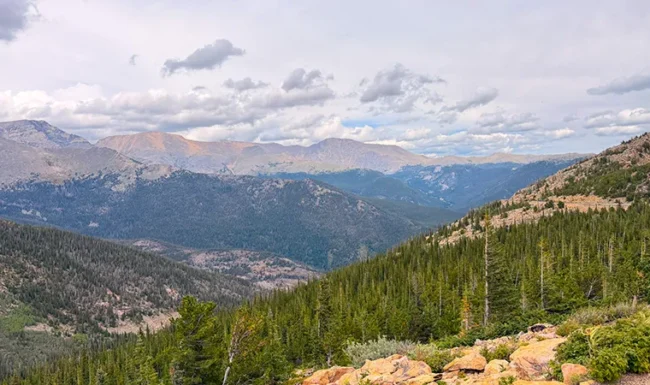 Distant Rocky Mountain peaks and evergreen forests viewed from Trail Ridge Road