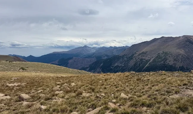 ocky alpine tundra and rugged mountain peaks viewed from Forest Canyon Overlook