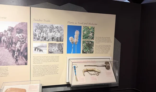 Alpine Visitor Center exhibit about tundra trails and plants used as food and medicine