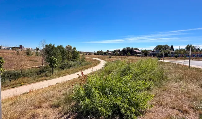 Winding paved trail through open space at Westminster Station Park Nature Playground