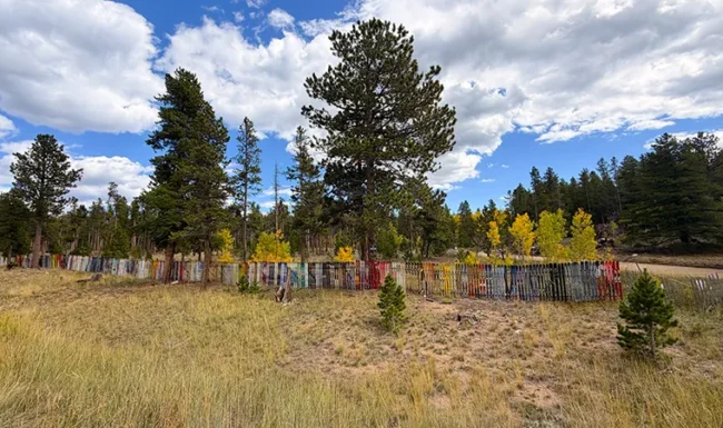 Colorful snow ski fence in a mountain meadow surrounded by pine and aspen trees in Rollinsville, Colorado.