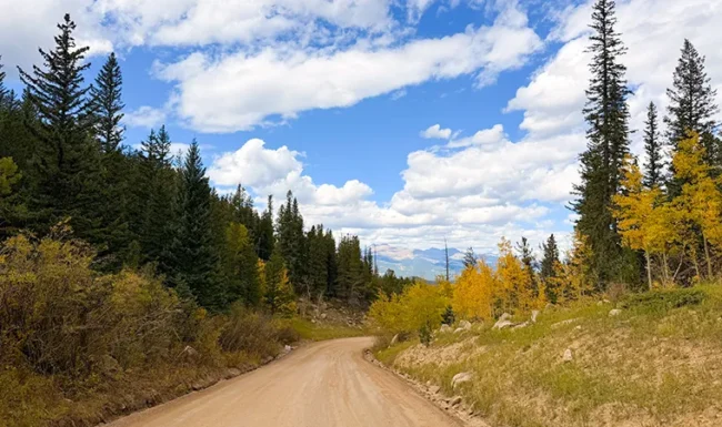 Winding dirt road through pine forest and early fall aspens with mountain ranges in the background in Golden Gate Canyon State Park, Colorado
