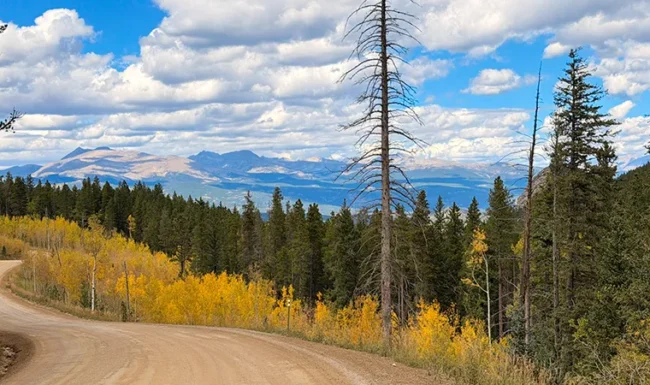 Curving dirt road with golden aspens and distant mountain views in Golden Gate Canyon State Park, Colorado