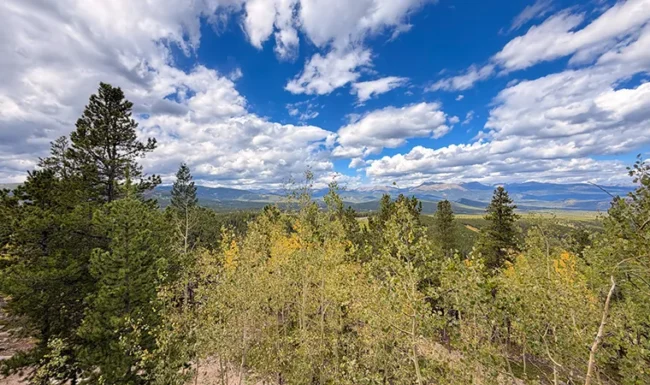 Distant Rocky Mountain Range view beyond golden aspens and pine forest in Golden Gate Canyon State
