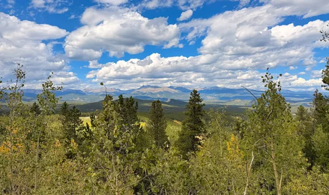 Panoramic mountain view through aspens in Golden Gate Canyon State Park, Colorado