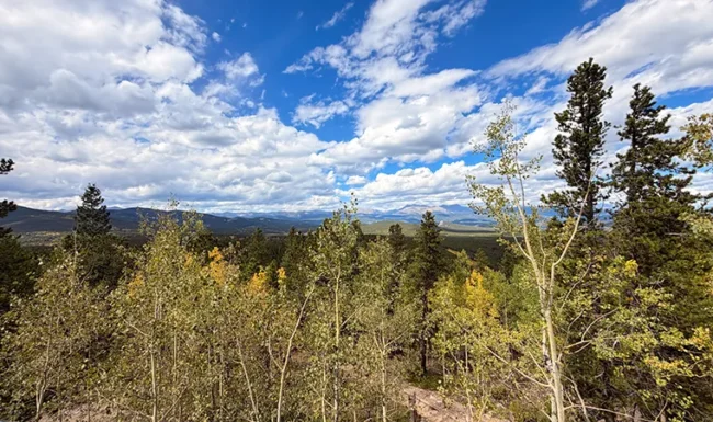 Mountain vista above golden aspens and evergreen forest in Golden Gate Canyon State Park, Colorado