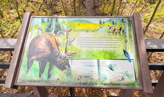 Wildlife interpretive sign with an elk at Golden Gate Canyon State Park