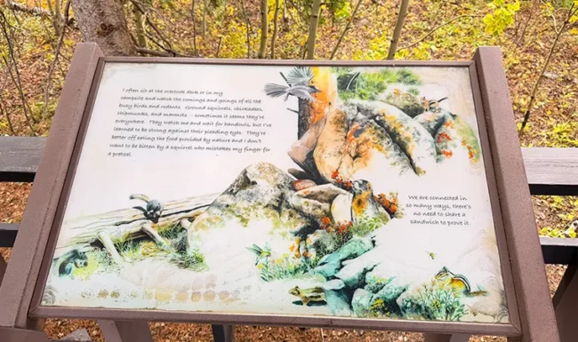 Wildlife interpretive sign about small forest animals at Golden Gate Canyon State Park