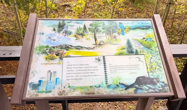 Wildlife habitat interpretive sign at Golden Gate Canyon State Park