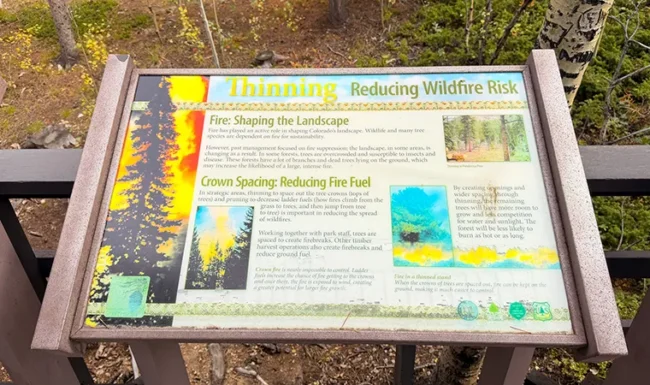Forest-thinning interpretive sign about reducing wildfire risk at Golden Gate Canyon State Park