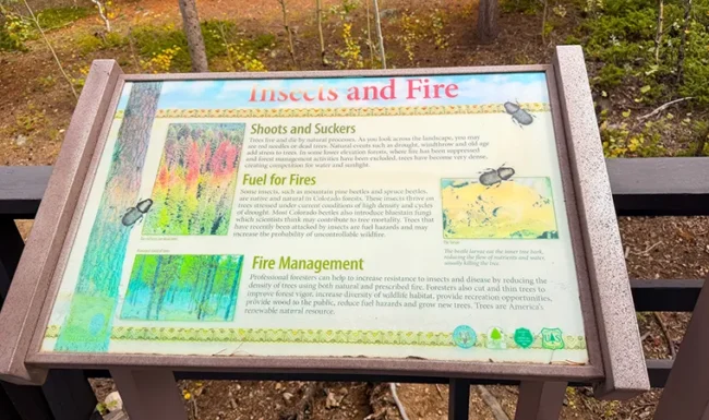 Interpretive sign about insects and fire in Golden Gate Canyon State Park