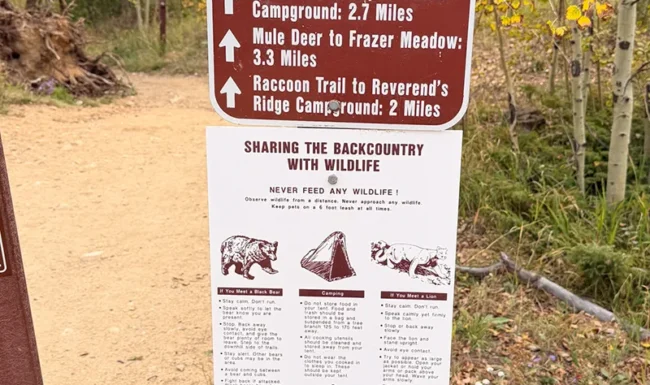 Raccoon Trail information sign in Golden Gate Canyon State Park