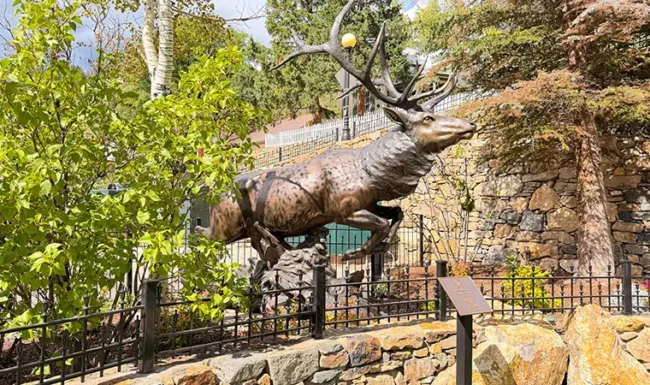 Bronze elk sculpture: Mountain Life Park in Black Hawk, Colorado