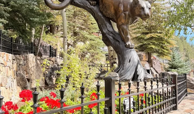 Bronze mountain lion sculpture: Mountain Life Park in Black Hawk, Colorado
