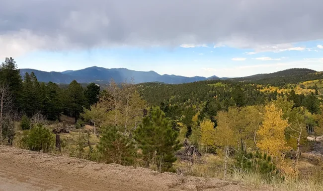 Mountain view across golden aspens and pine forest near Central City, Colorado