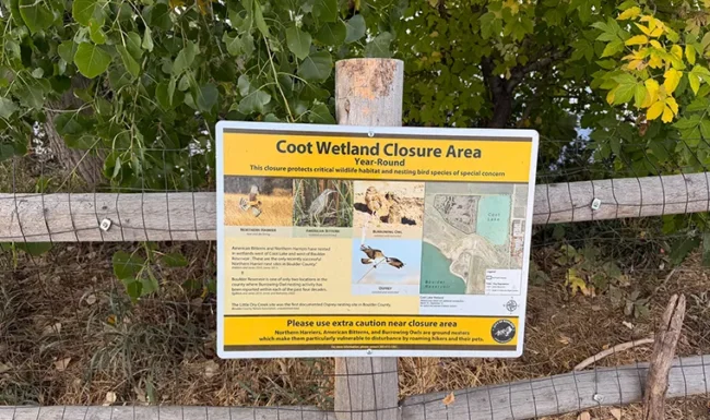 Coot Wetland Closure Area sign explaining year-round protection