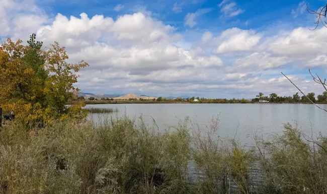 Coot Lake shoreline framed by fall foliage near Boulder Reservoir