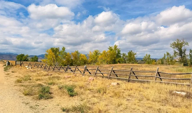 Wooden fence and open space beside the Coot Lake trail
