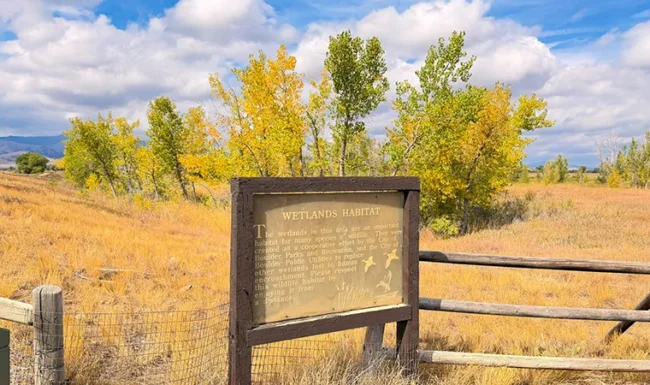 Wetlands habitat interpretive sign at Coot Lake