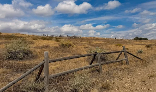 Rustic fence across grassland near Coot Lake