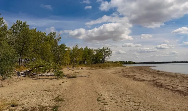 Sandy shoreline and cottonwood trees at Boulder Reservoir