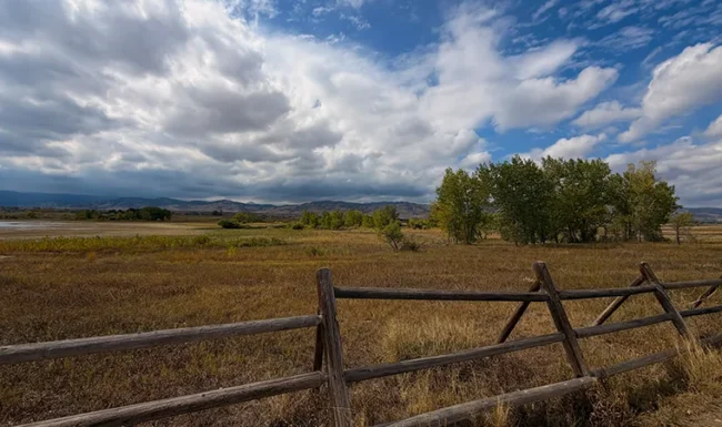 Open grassland and Front Range views near Coot Lake
