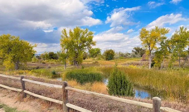 Wetland pond and wooden fence along the Coot Lake trail