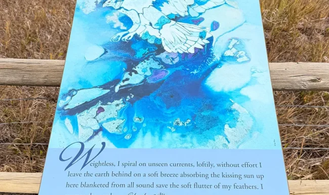 Water and wetland interpretive sign at Coot Lake